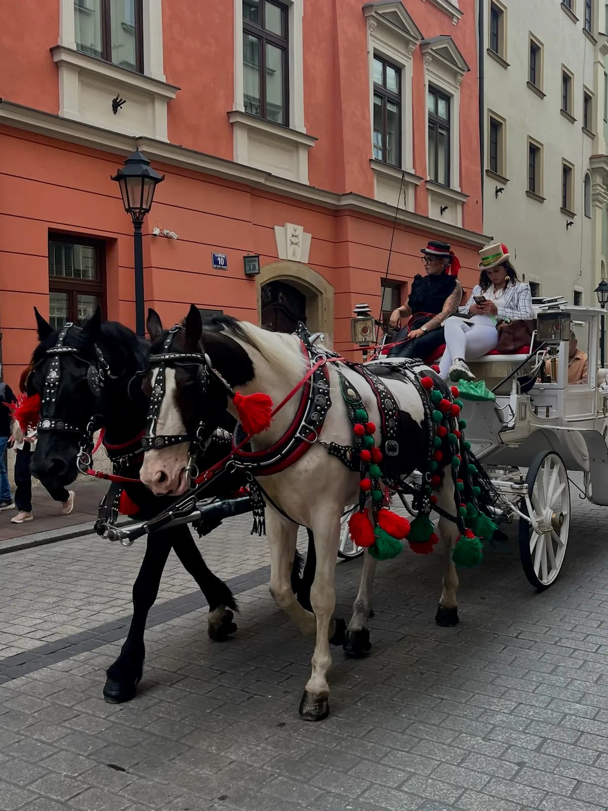 Cracovia