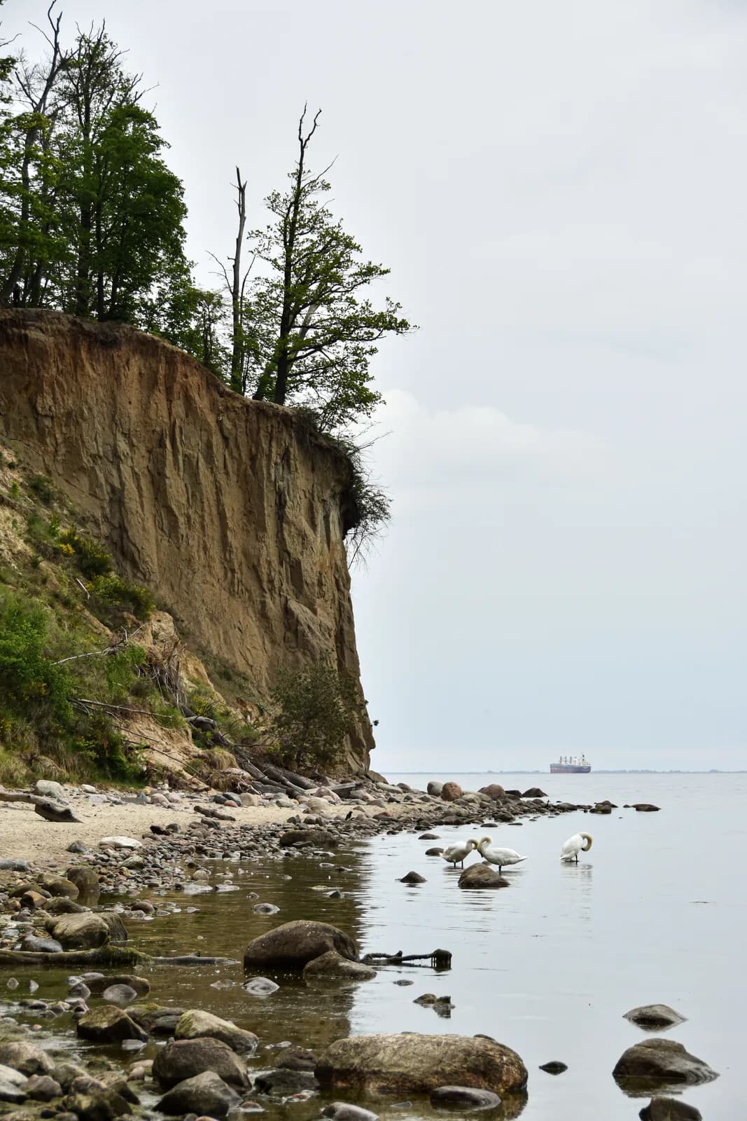 La falaise d'Orłowo, à Gdynia, vue depuis la plage