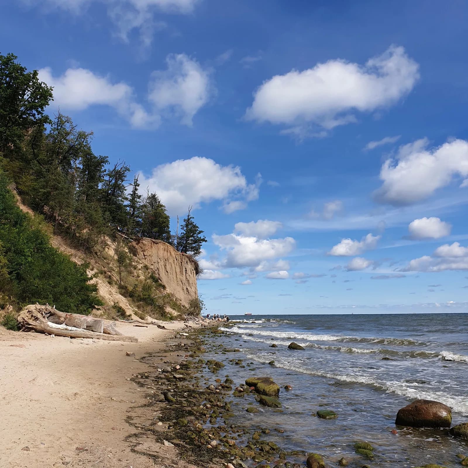 La falaise d'Orłowo et la baie de Gdańsk, à Gdynia