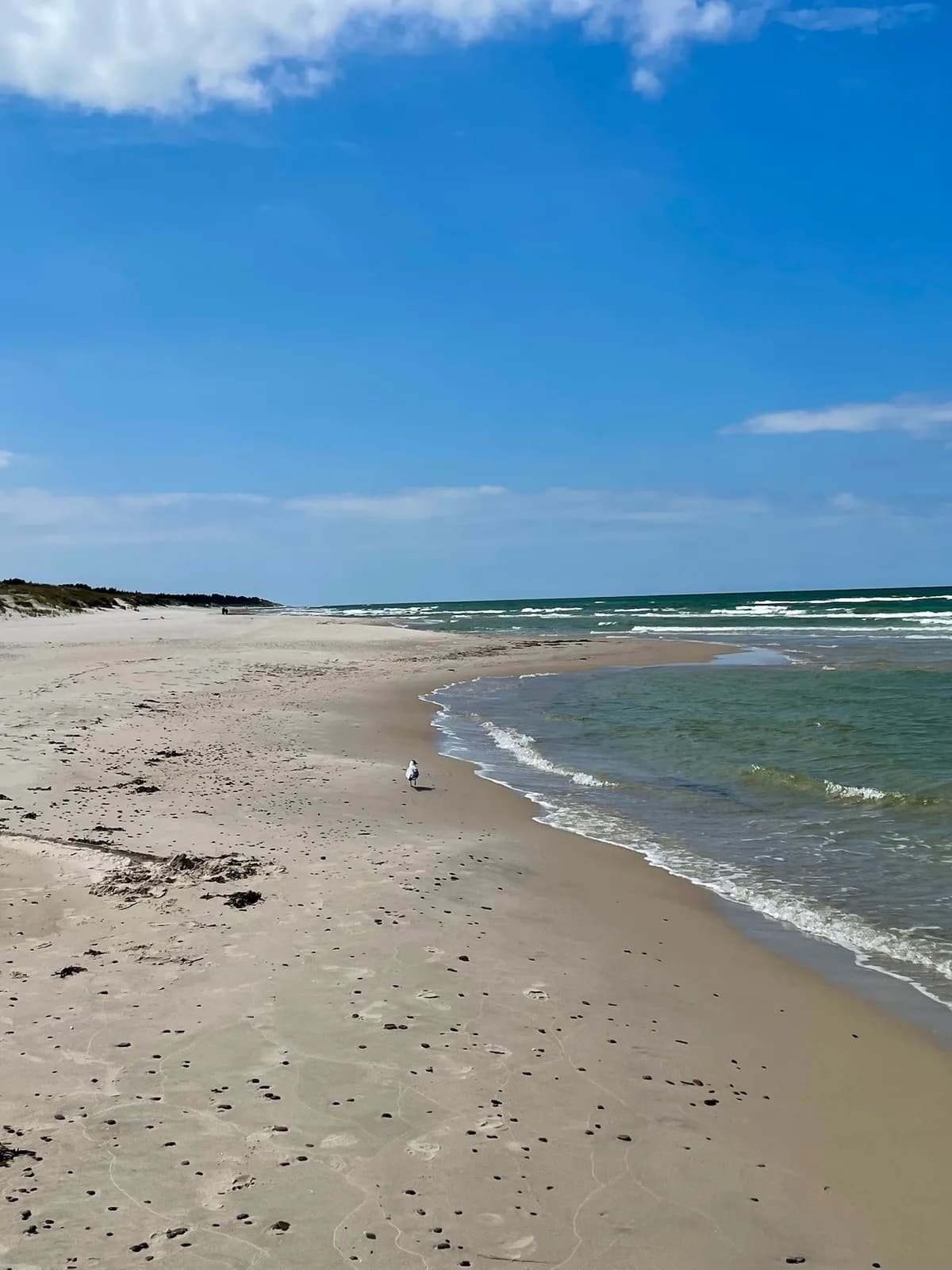 La plage de la mer Baltique à Łeba, sous un ciel changeant