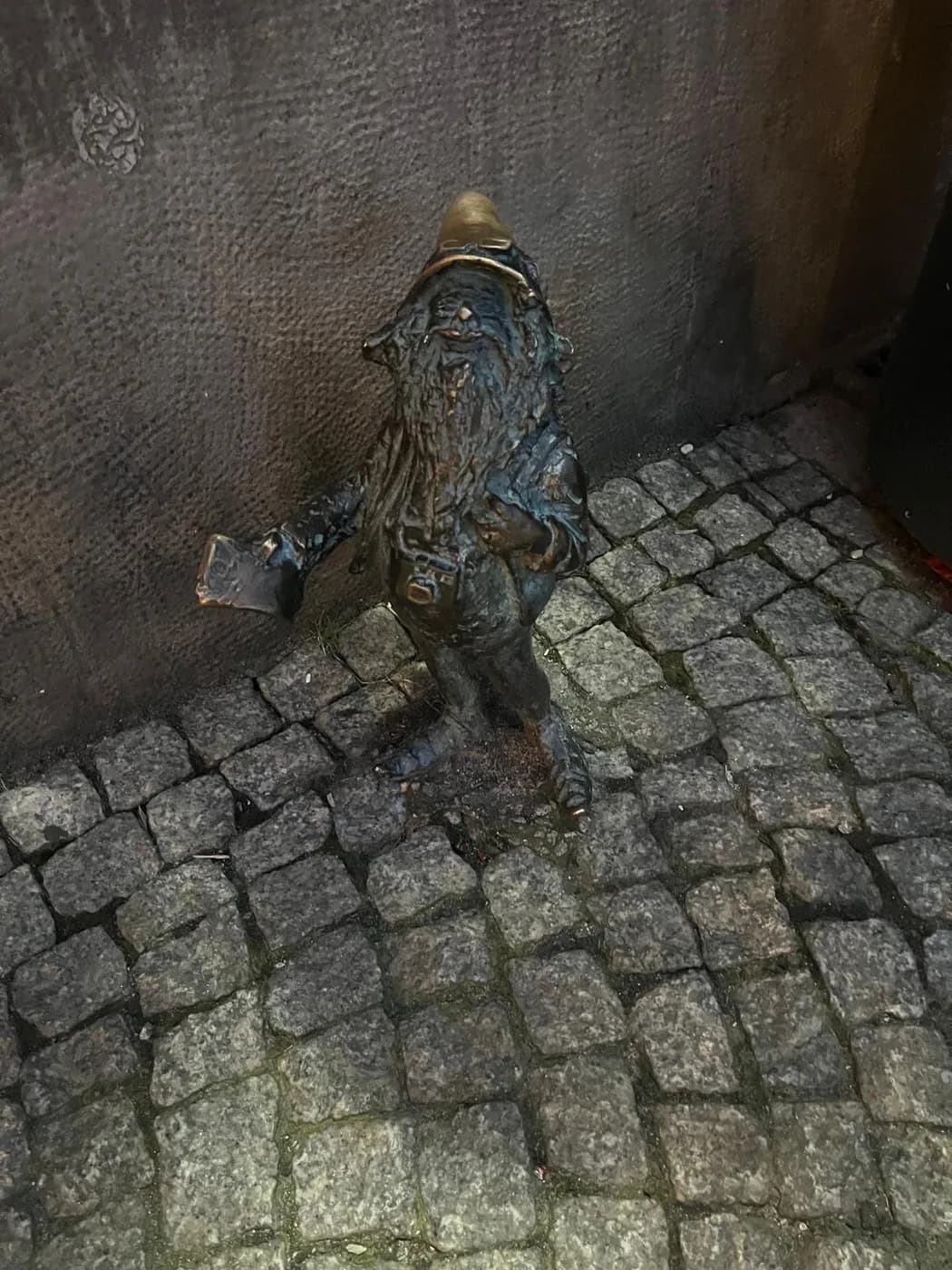 Nain de bronze, Wrocław