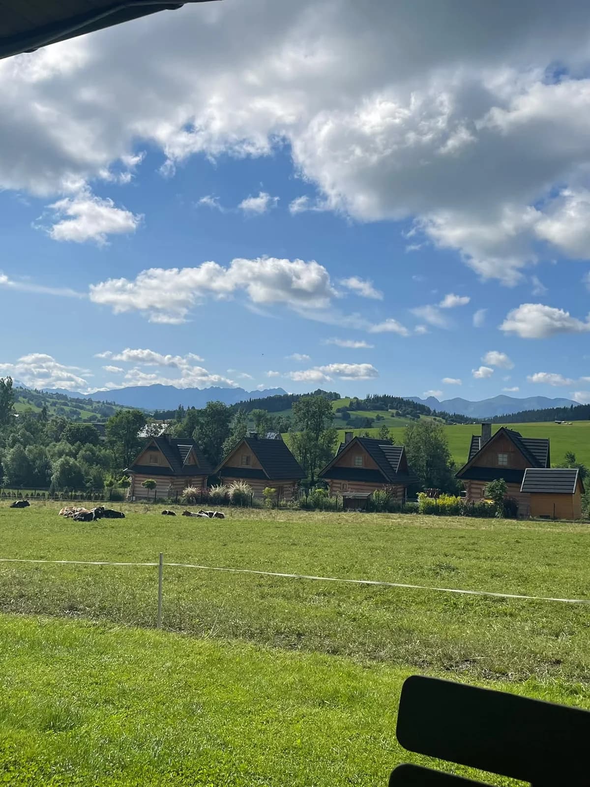 Chalets en bois traditionnels et vaches dans un pré, village de Ciche