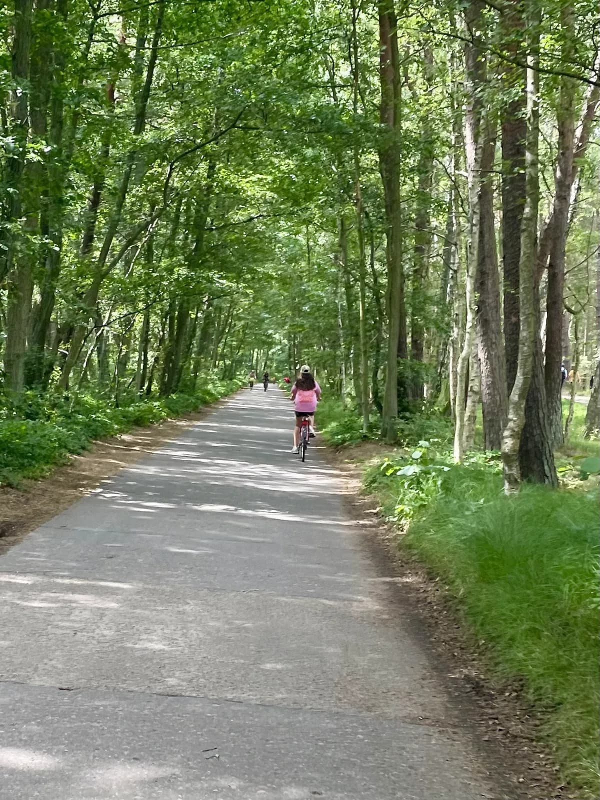 À vélo en direction du parc national de Słowiński