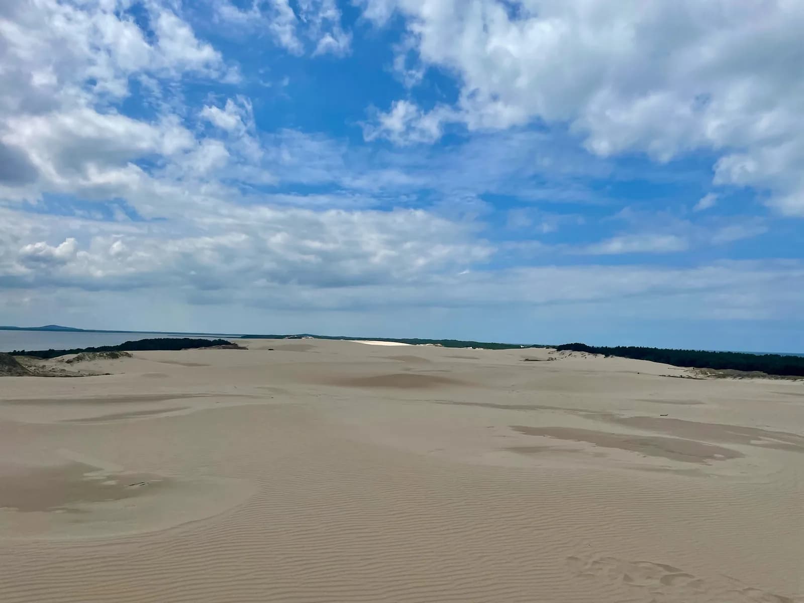 Sur la dune, parc national de Słowiński