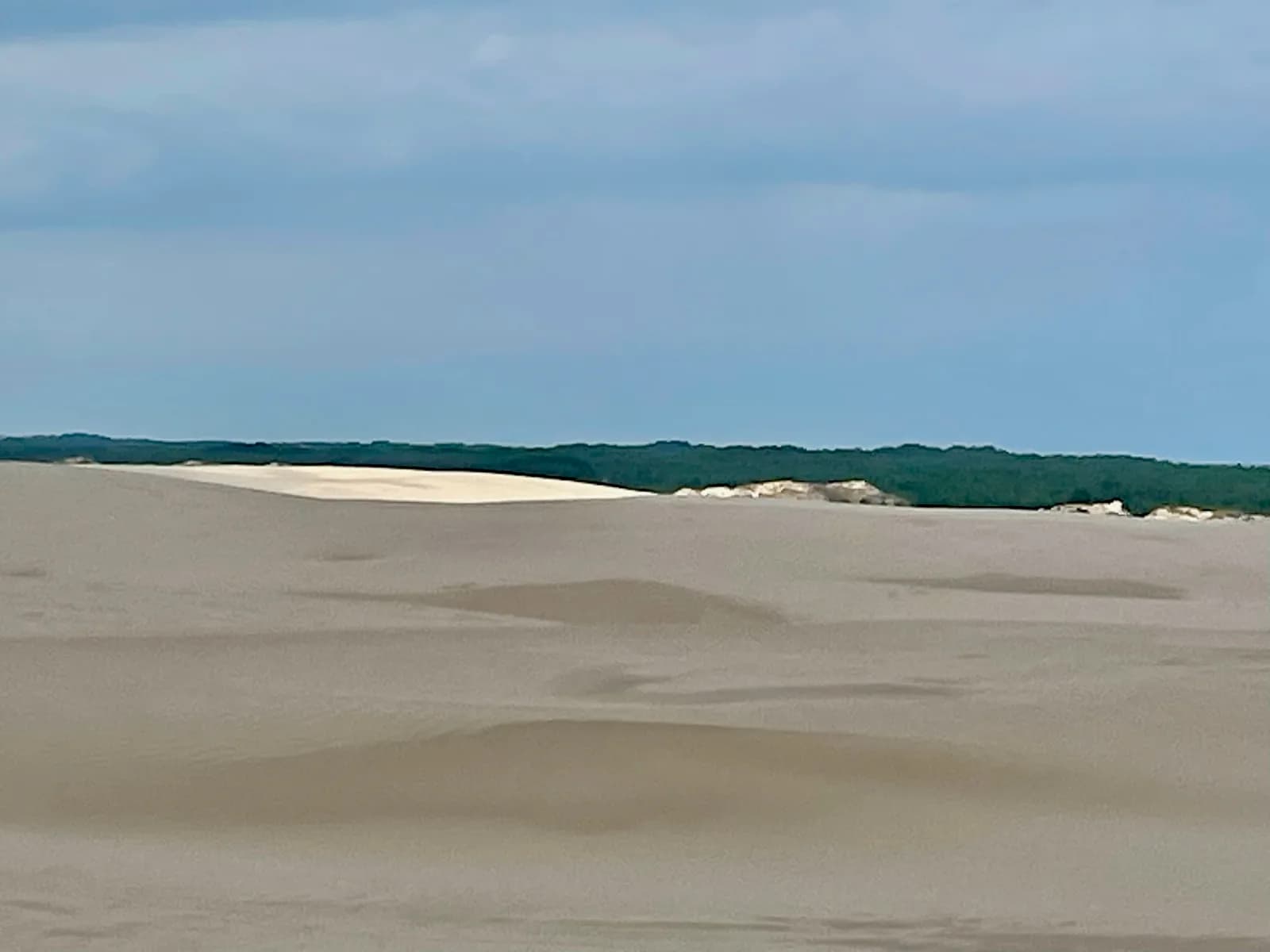 Les dunes mouvantes du parc national de Słowiński