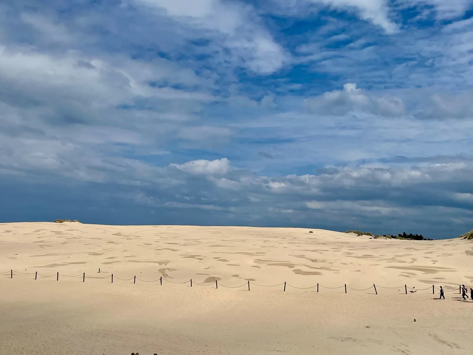 Le sommet de la dune mouvante, parc de Słowiński