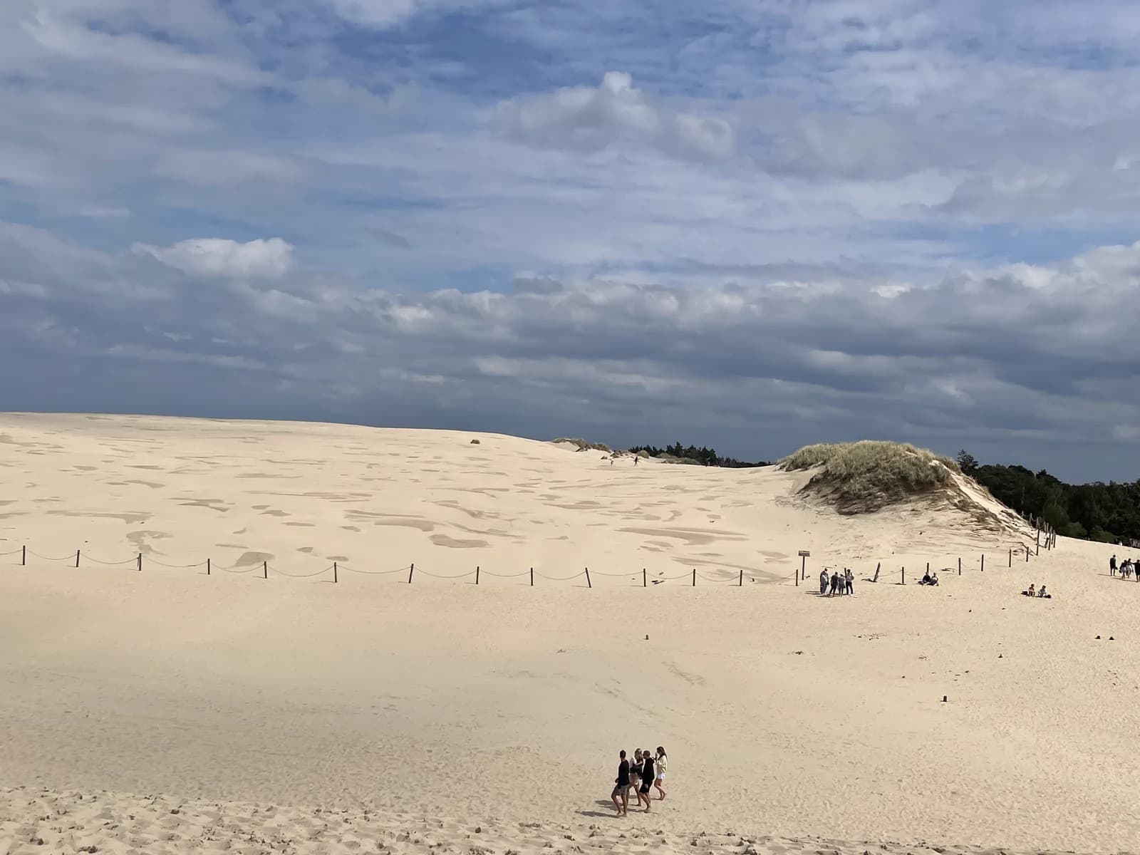La dune mouvante et sa végétation, parc national de Słowiński