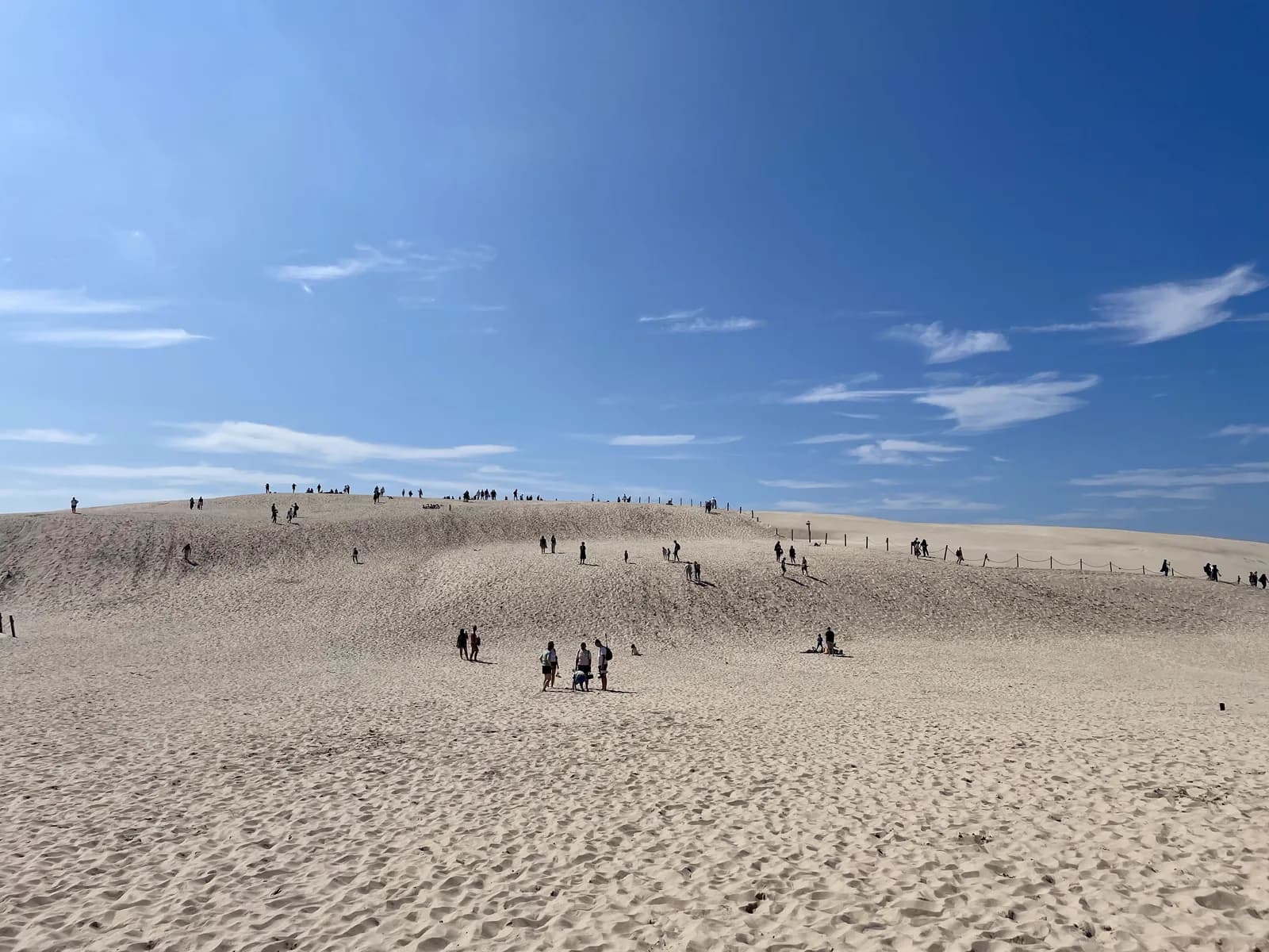 Sur le sommet de la dune mouvante, parc national de Słowiński