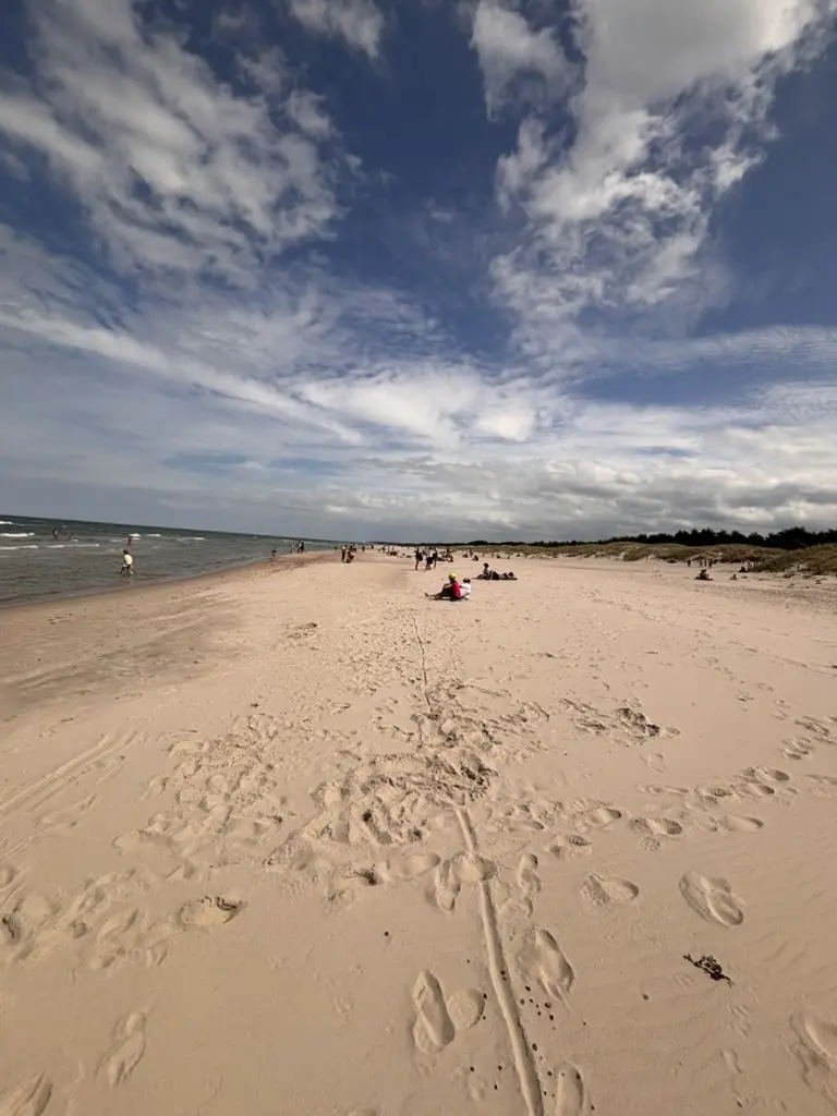 La plage de la mer Baltique, parc national de Słowiński