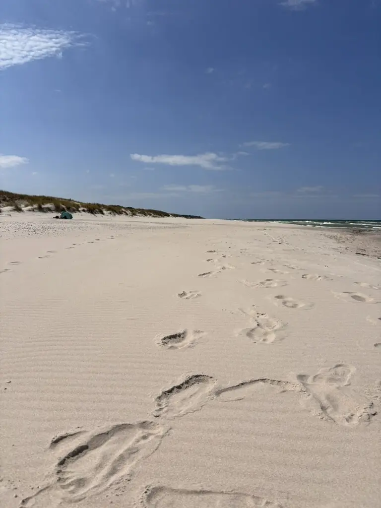 Traces de pas sur la plage, en direction des dunes de Słowiński