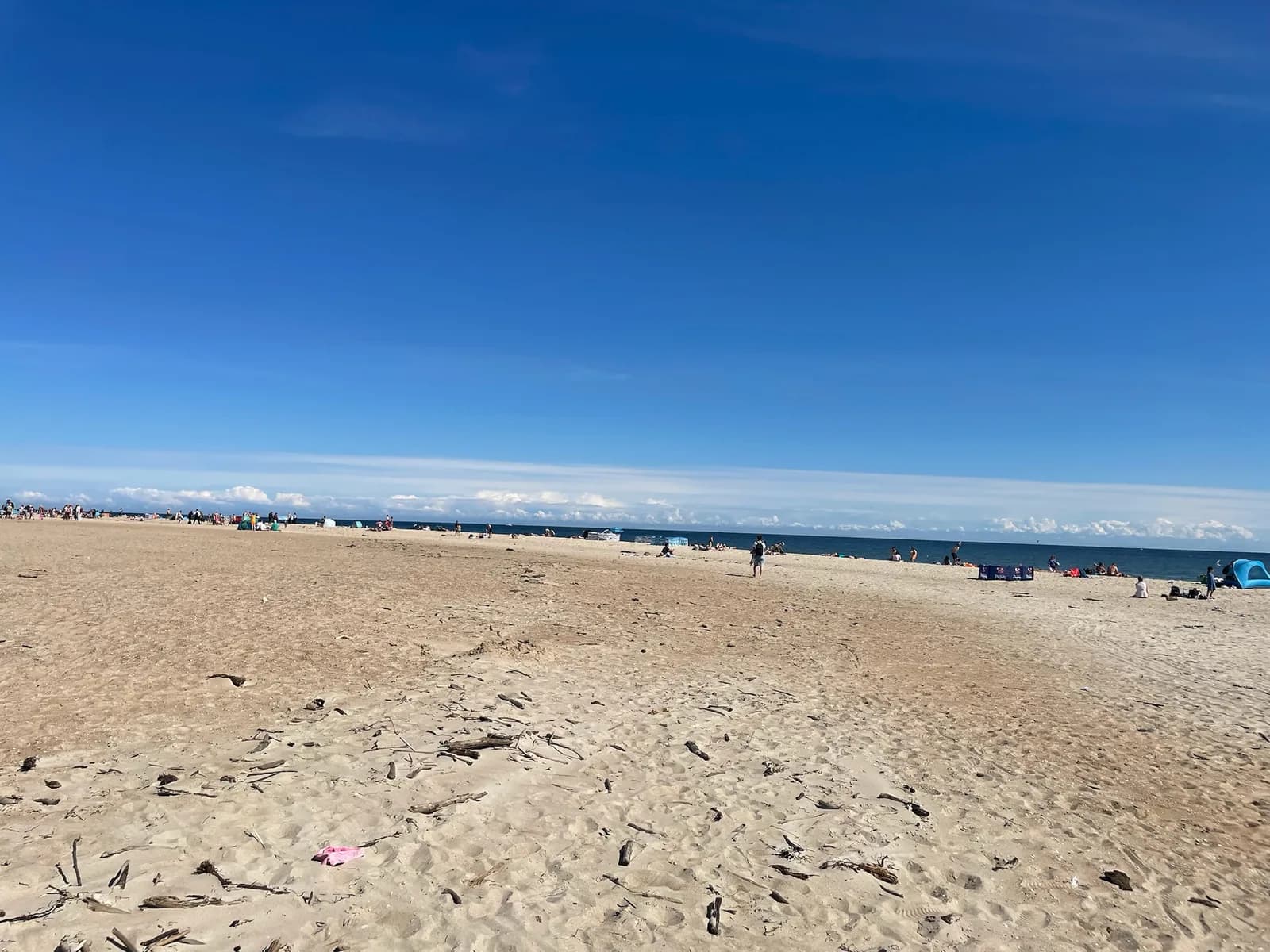 Bois flotté sur la plage de Hel
